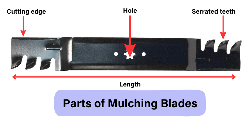 Parts of Mulching Blades