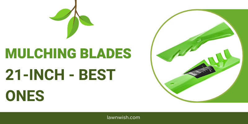 Best 21 Inch Mulching Blades